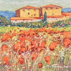 Fiori al Sole by Bruno Tinucci - Original Painting on Stretched Canvas sized 8x8 inches. Available from Whitewall Galleries